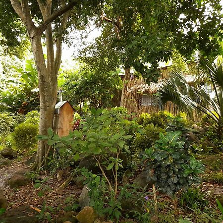El Bamboo Cabins Balgue Extérieur photo