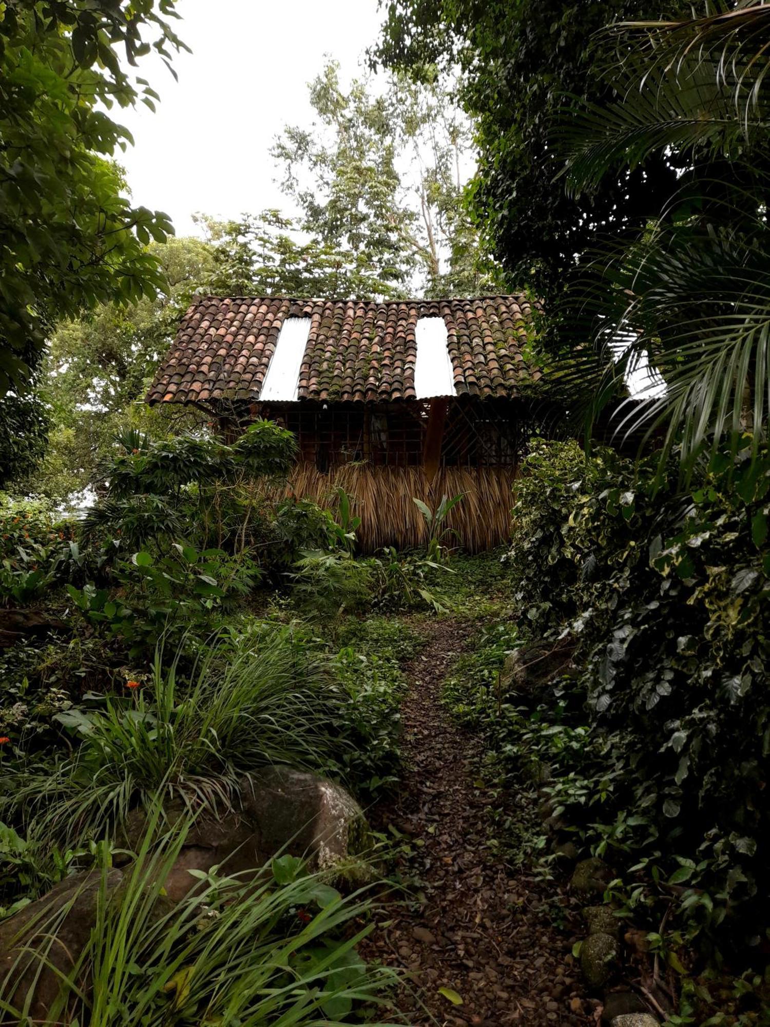 El Bamboo Cabins Balgue Extérieur photo