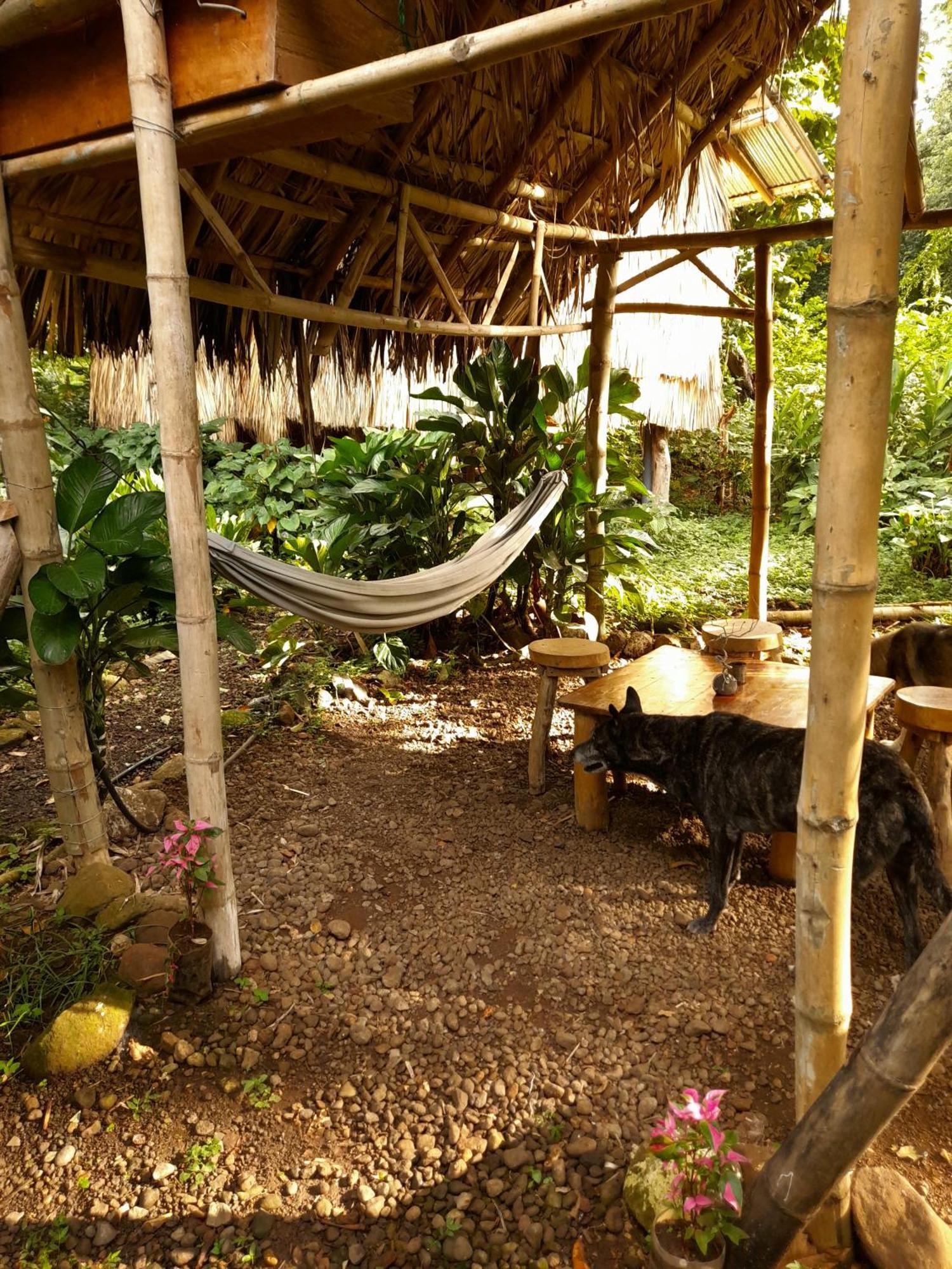El Bamboo Cabins Balgue Extérieur photo